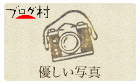 優しい写真