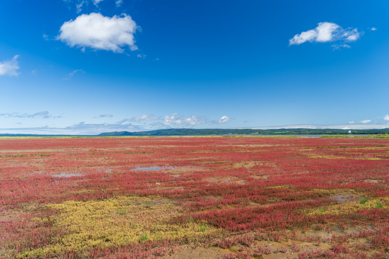 DSC01232-HDR