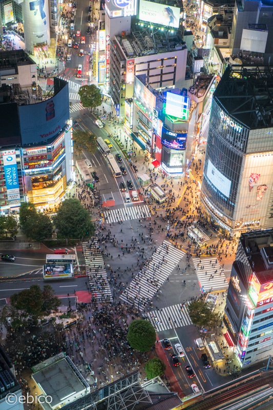 渋谷スカイのオープン初日に行ってきました♪【渋谷スクランブルスクエア】