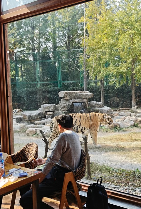 上海野生动物园_1_杨舒舒_来自小红书网页版