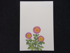 はじめての色鉛筆画