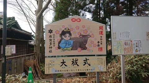 24391