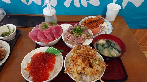 1205009