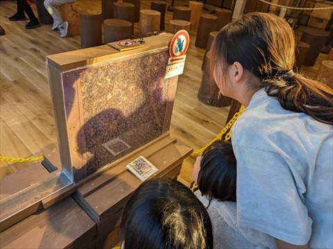 aLINE_ALBUM_スポーツ少年団剣道大会_241209_71