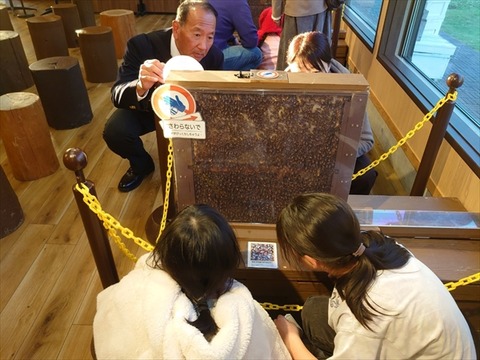 aLINE_ALBUM_スポーツ少年団剣道大会_241209_51