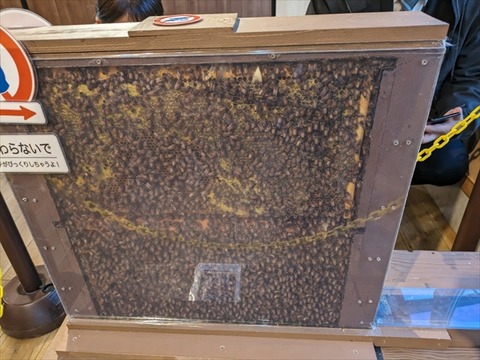 aLINE_ALBUM_スポーツ少年団剣道大会_241209_69