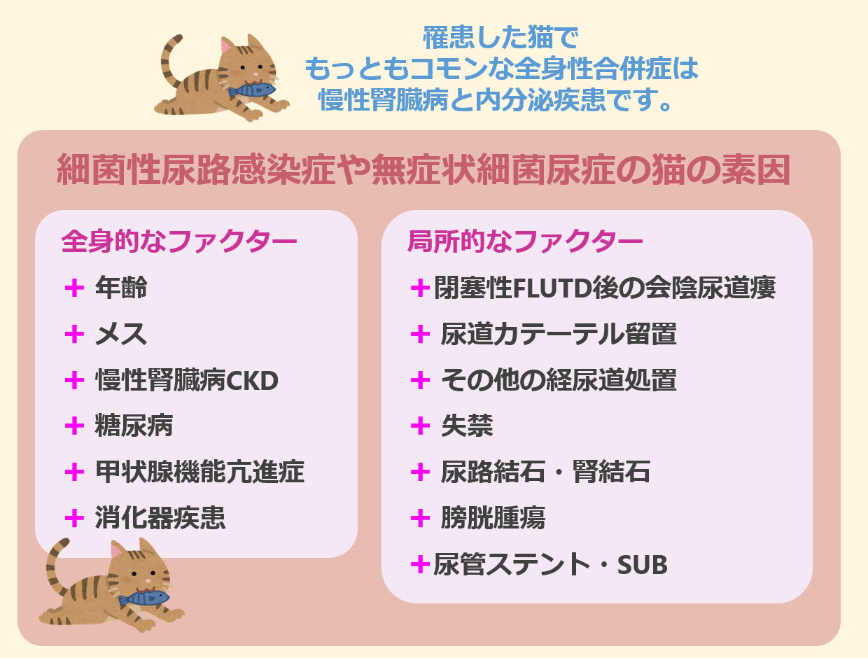 文献 猫 猫の尿路感染症と無症候性細菌尿19 リスクファクター Pmid 動物医療ジェネラリストのぼっちジャーナルクラブ