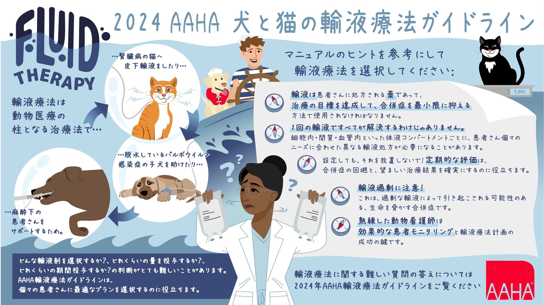 裁断済　犬と猫の輸液 診療現場ですぐ役立つ！犬と猫の輸液 | 臨床獣医学,検査・診断