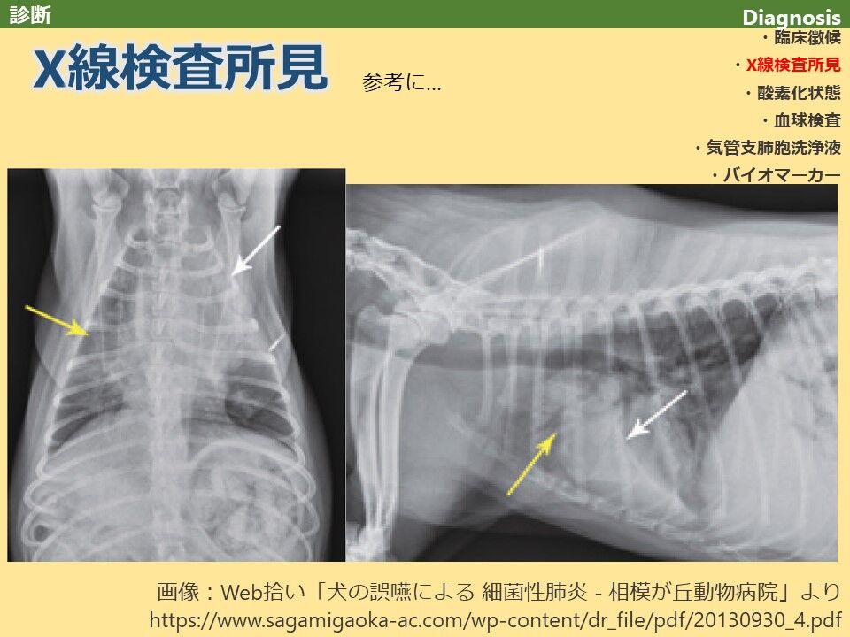 文献 犬 誤嚥性肺炎レビュー スライド版４診断 Pmid 動物医療ジェネラリストのぼっちジャーナルクラブ