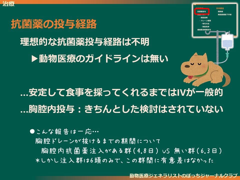 文献：犬猫] 膿胸管理2015レビュースライド版4 治療・抗菌薬