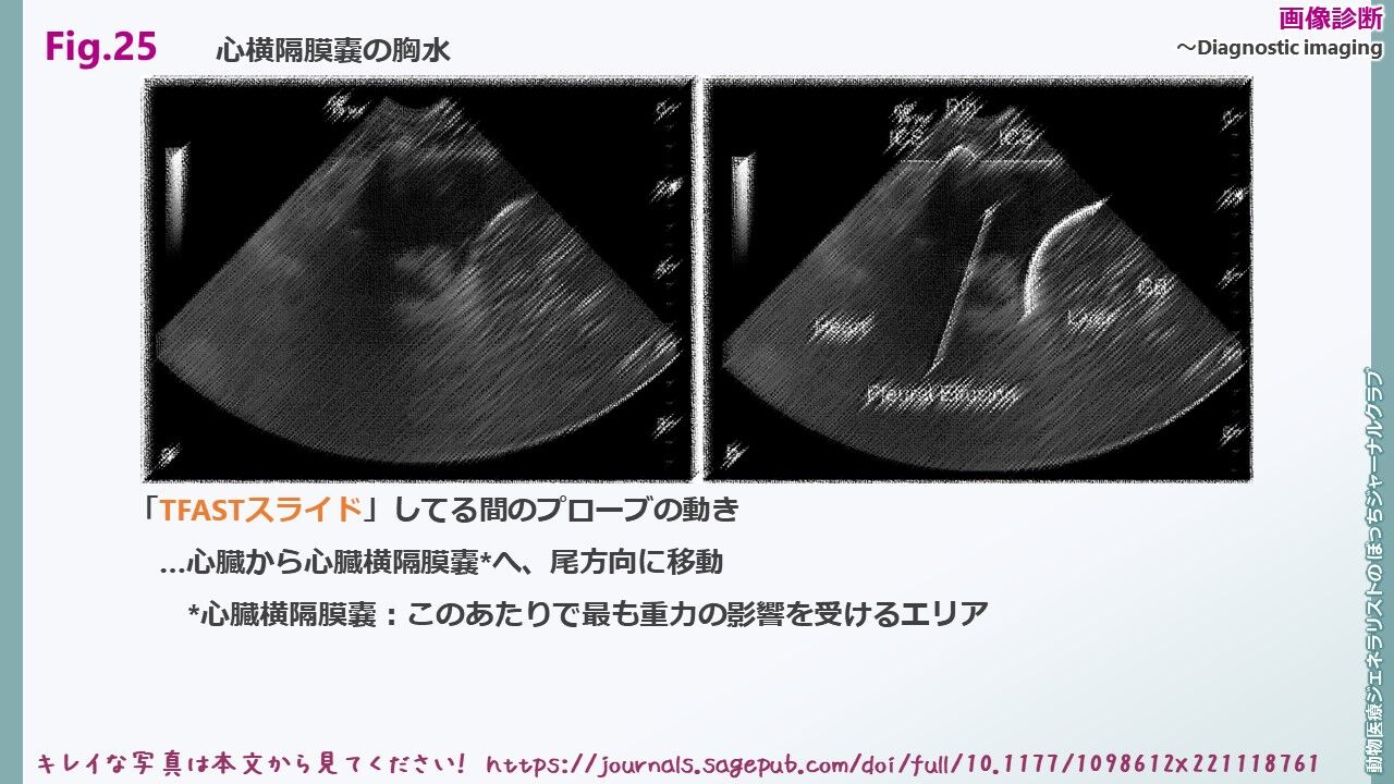 [文献：猫] 猫伝染性腹膜炎診断マニュアル2022…11（PMID: 36002137） : 動物医療ジェネラリストのぼっちジャーナルクラブ