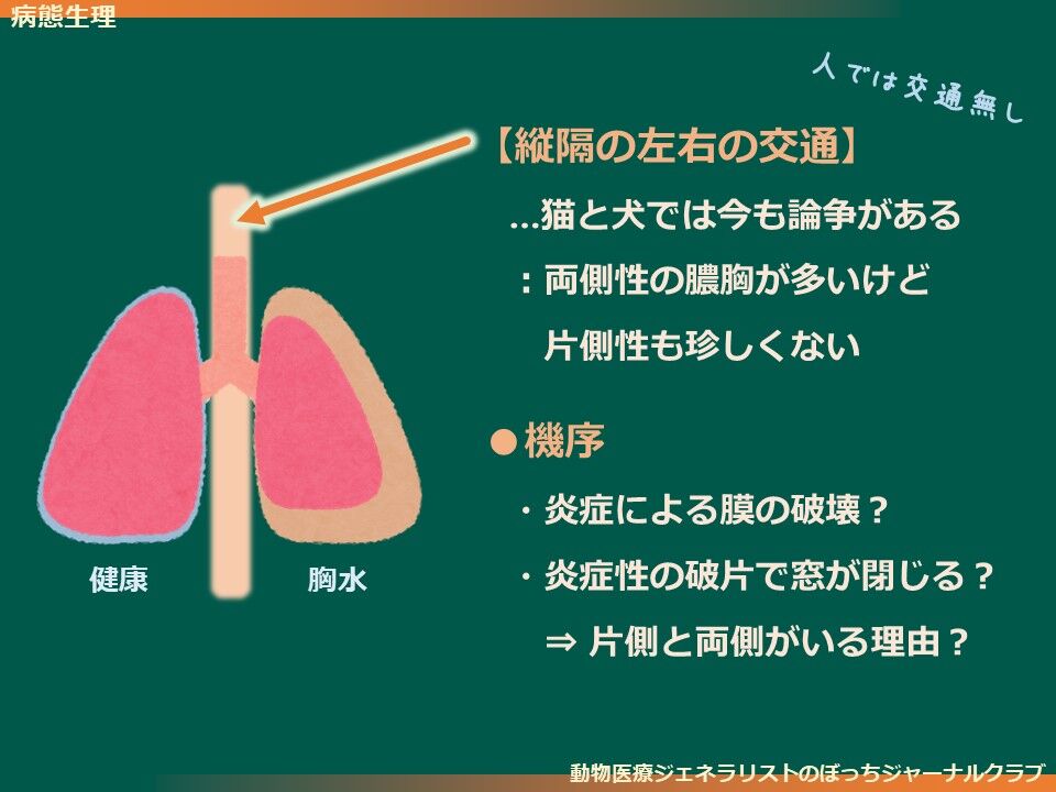 犬と猫の病態生理 イラストでわかる！病気のしくみ 犬と猫の病態生理 | 臨床獣医学