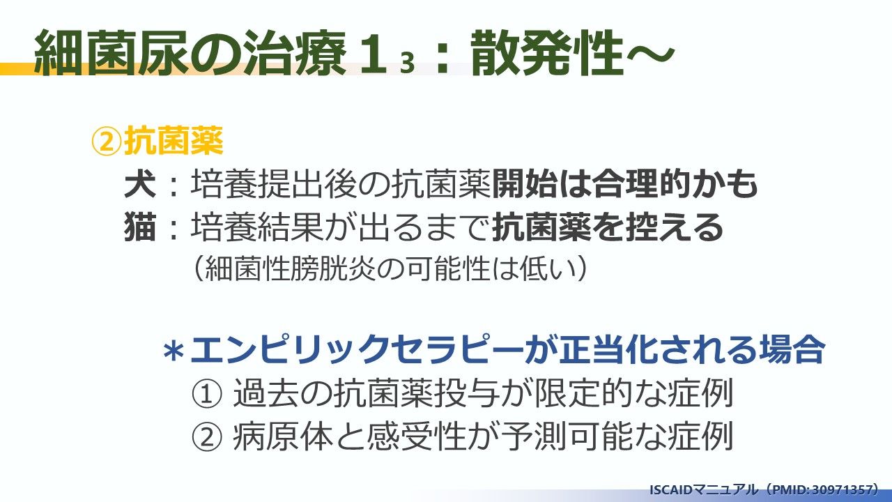 マニュアル19 犬猫 細菌性尿路感染症の診断と管理 Iscaidまとめ その2 7 Pmid 動物医療ジェネラリストのぼっちジャーナルクラブ マニュアル19 犬猫 細菌性尿路感染症の診断と管理 Iscaidまとめ その2 7 Pmid 動物医療ジェネラリストのぼっちジャーナルクラブ