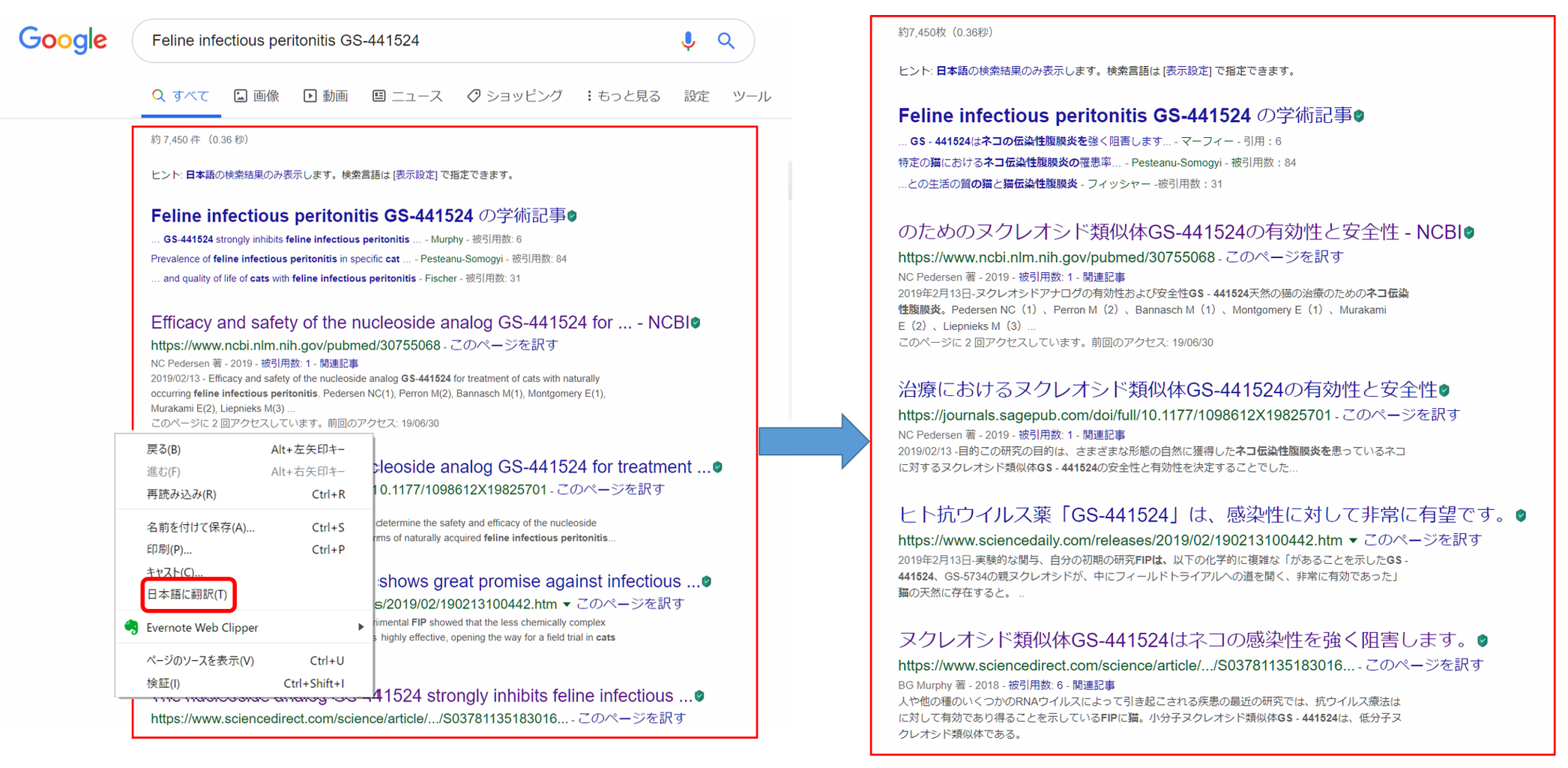 EBMstyle] FIP治療に今ウワサのGC376やGS-441524を使うべきですか 