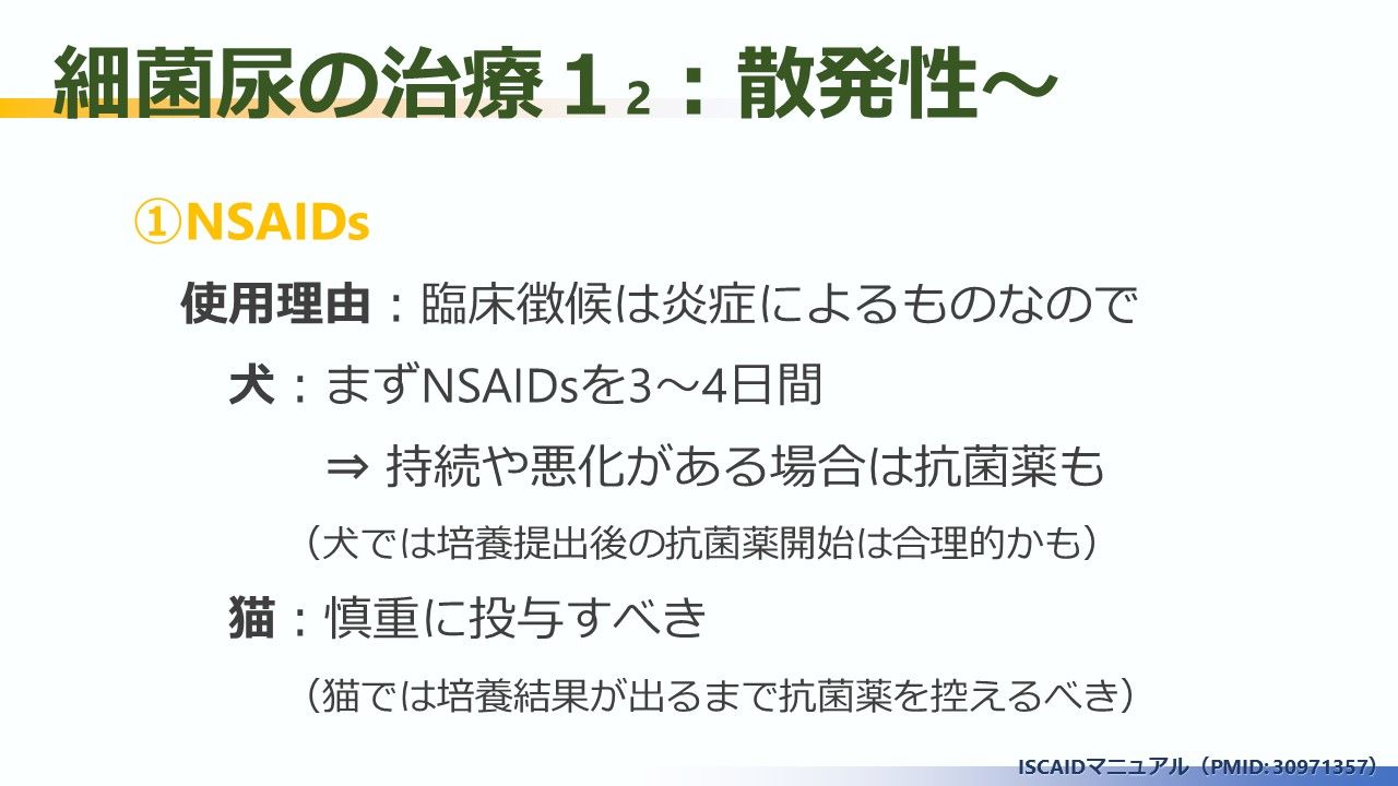 マニュアル19 犬猫 細菌性尿路感染症の診断と管理 Iscaidまとめ その2 7 Pmid 動物医療ジェネラリストのぼっちジャーナルクラブ マニュアル19 犬猫 細菌性尿路感染症の診断と管理 Iscaidまとめ その2 7 Pmid 動物医療ジェネラリストのぼっちジャーナルクラブ