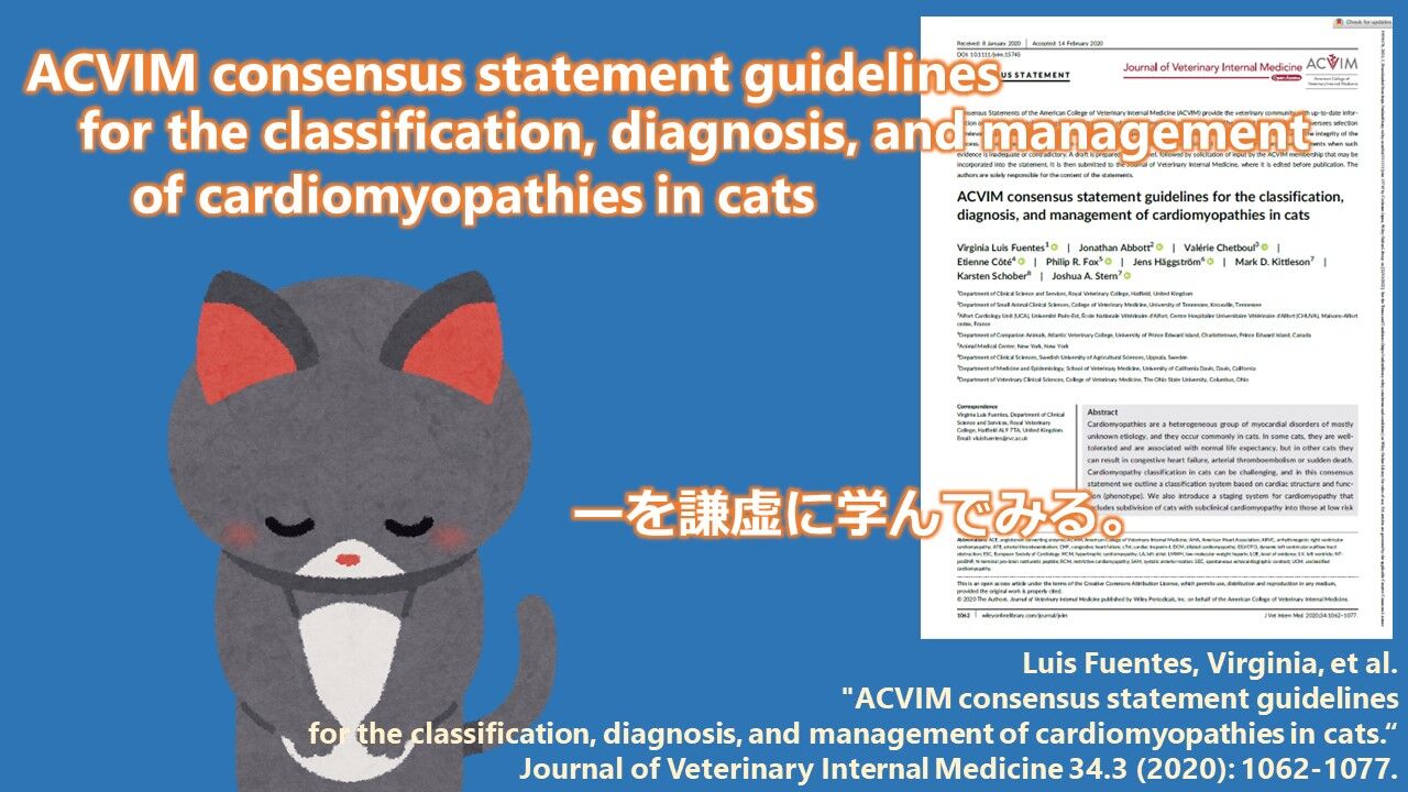 [文献：猫] 猫の心筋症ACVIMマニュアル～その1（PMID: 32243654） : 動物医療ジェネラリストのぼっちジャーナルクラブ