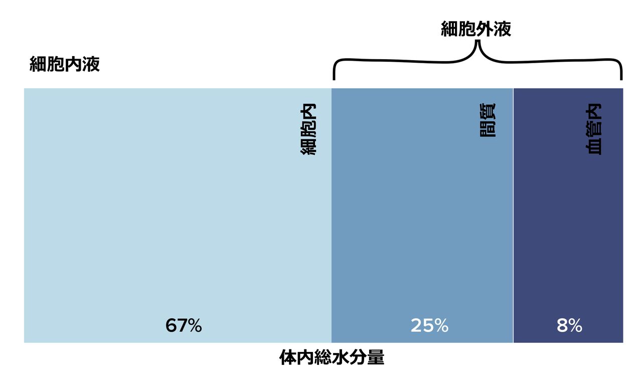 文献：犬猫] AAHA犬と猫の輸液療法マニュアル2024 その2（PMID