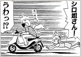wonder_04