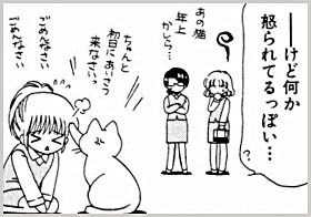 wonder_02