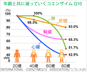 コエンザイム Q10 ダイエット
