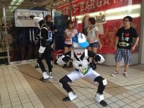 イメージ 16