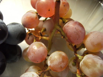 DSCF8557