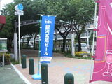 76b7430b.JPG