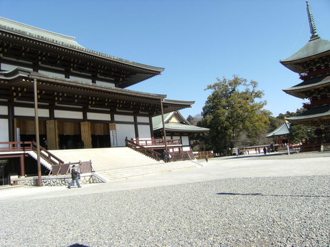 DSCF7179