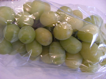 DSCF8560