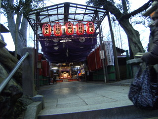 DSCF8116