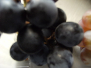 DSCF8559