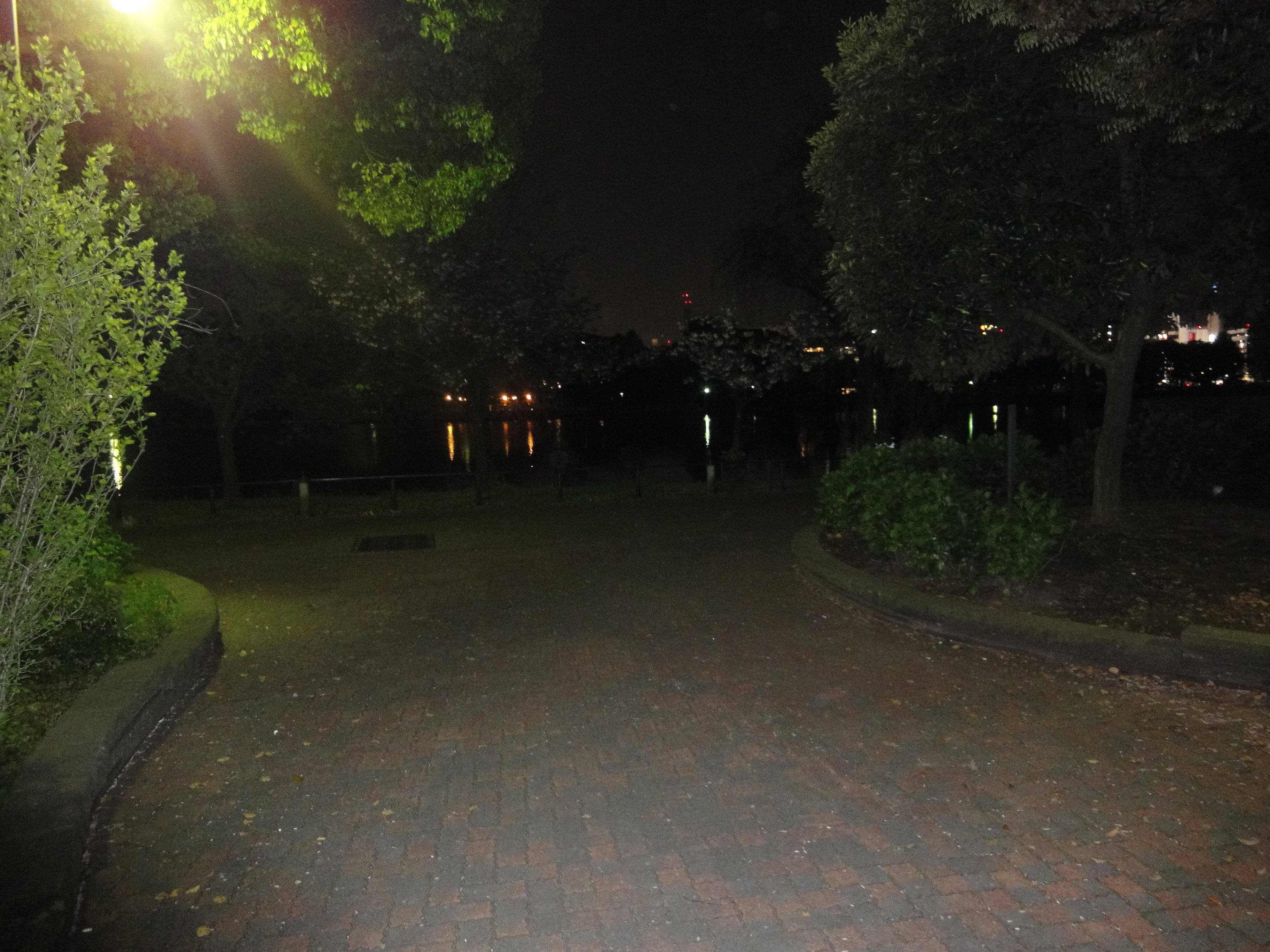 5月シリーズ：深夜の不忍池】 : 日刊 東京ジダラキスト