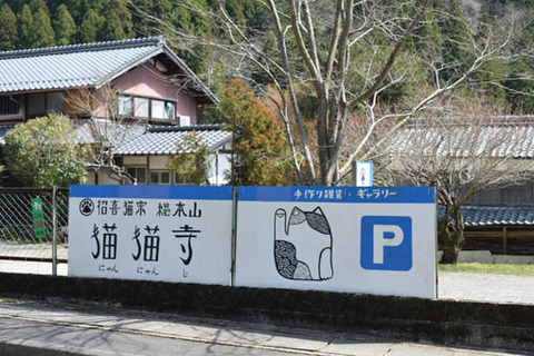 猫猫寺-看板