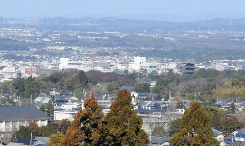 興福寺展望