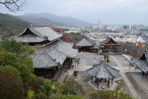 展望台からの境内