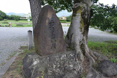 志波む桜の碑