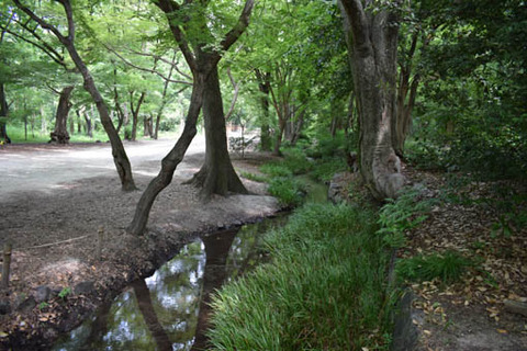 瀬見の小川