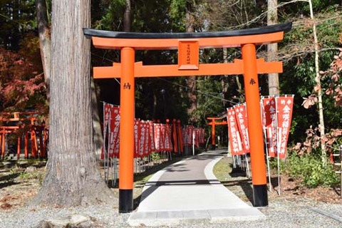 金咲稲荷神社-1