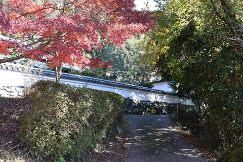 東禅院