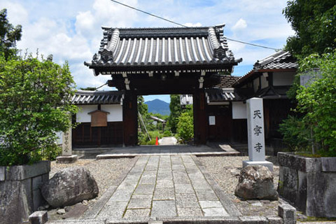 天寧寺-山門