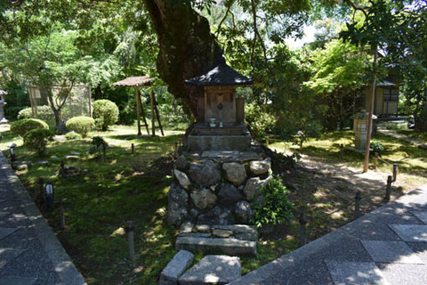 楊梅の木-祠