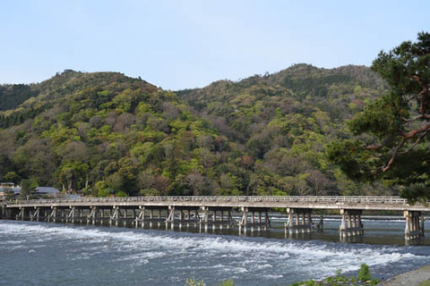 渡月橋