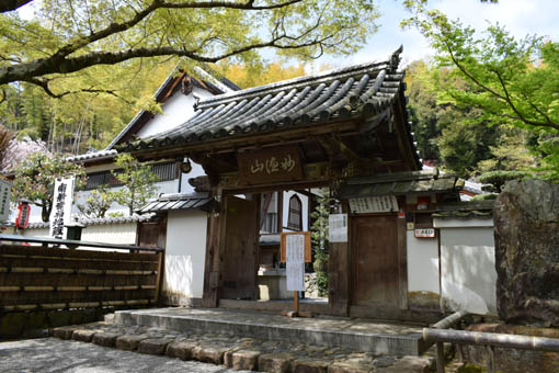 華厳寺 鈴虫寺 関西の主な巡礼地