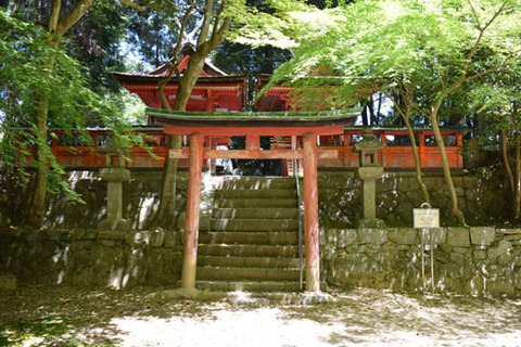 白山神社-鳥居