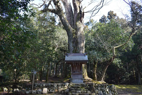 花尻の森-小野源太夫社