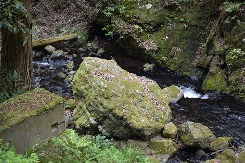 音羽の山寺 : 牛尾観音法嚴寺史／鏡山次郎 著 音羽の山寺 : 牛尾観音法嚴寺史／鏡山次郎 著