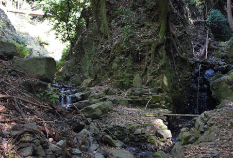 瑞光院-谷の合流