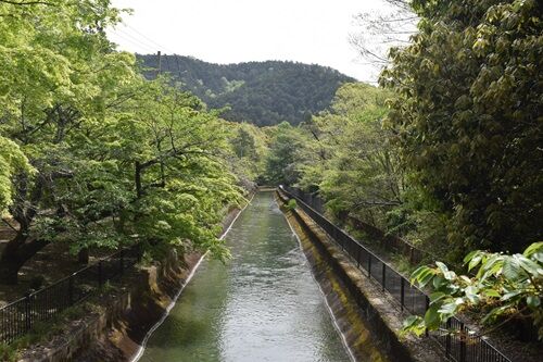 正嫡付法〔中巻〕本圀寺史料 正嫡付法〔中巻〕本圀寺史料 正嫡付法〔