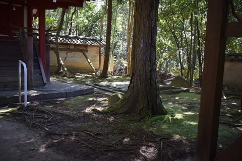 水鏡神社-井戸