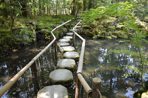 沢飛石